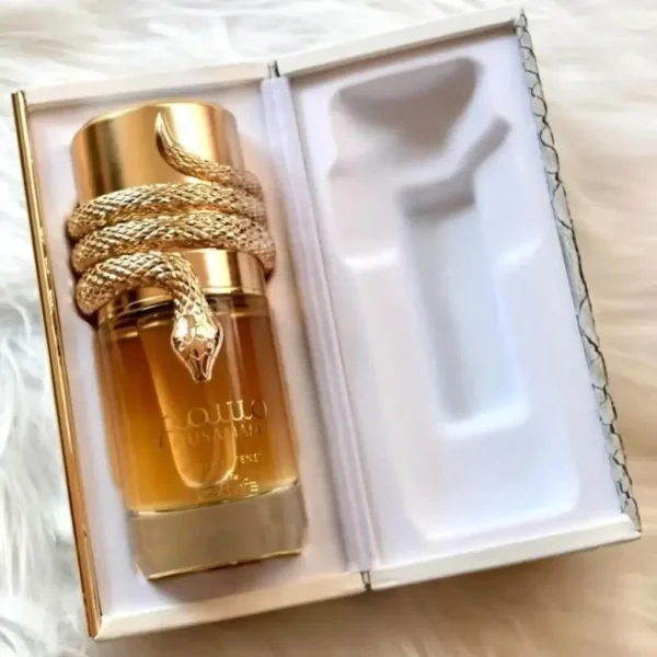 Original 100ml Perfume Unisex Long Lasting Atomizer high-quality Parfum For Men And Women Male Woody Fragrance Cologne – Image 5